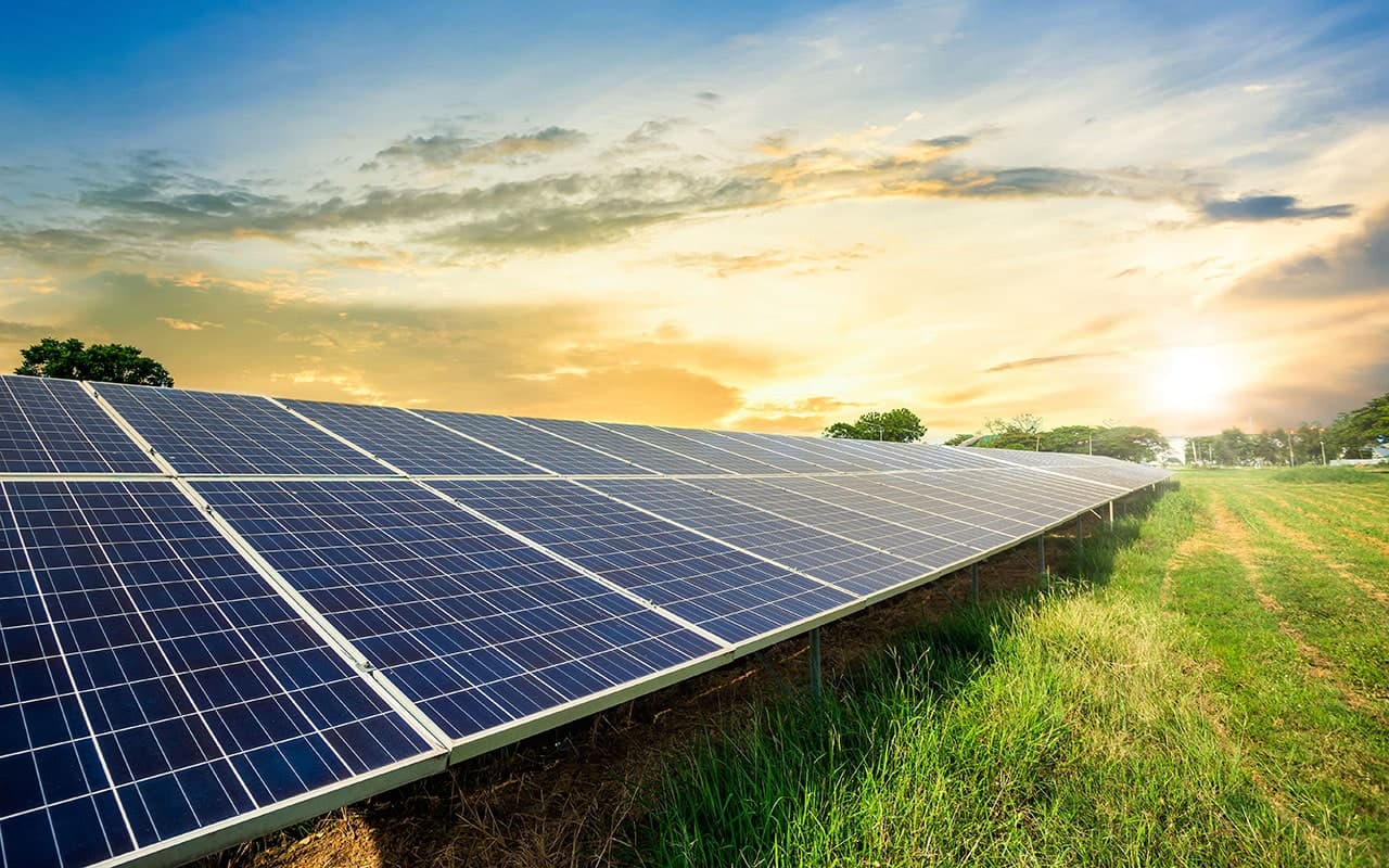 Woodland Resurgence and Sustainability in Mountains - Patterns, Drivers, and Social-Ecological Consequences